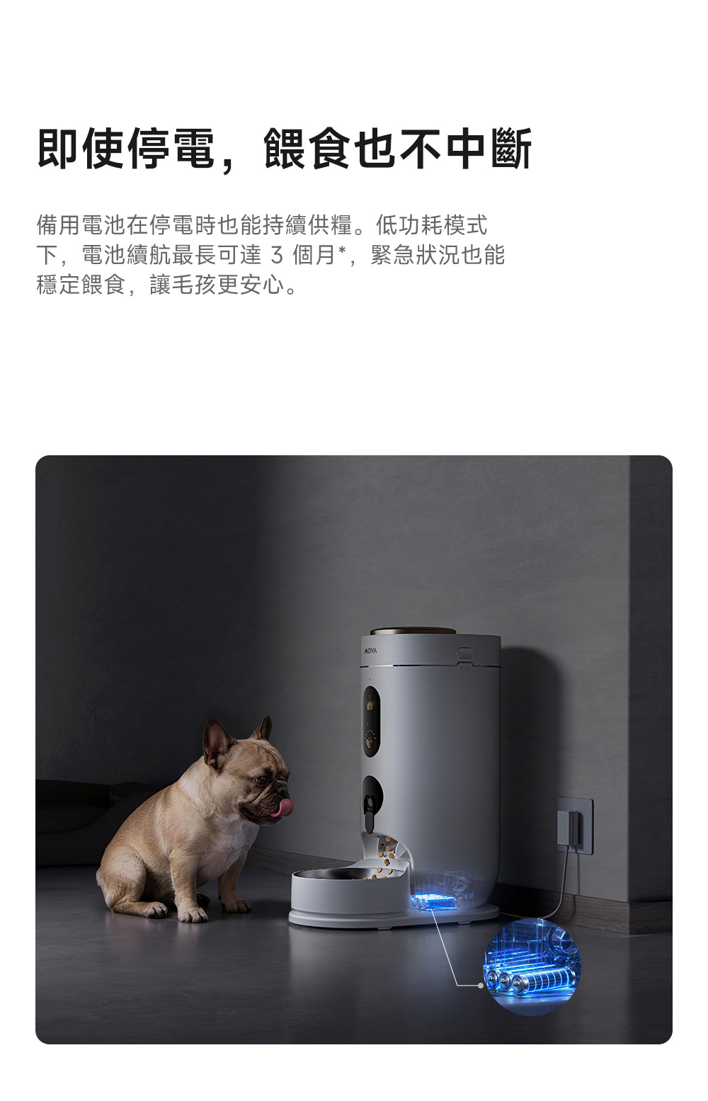 MOVA NutriPal 10 Ultra 智慧健康寵物餵食器 MOVA-TW